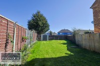 Images for Royal Avenue