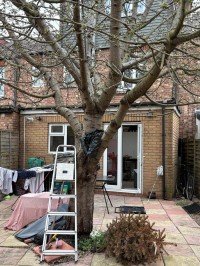 Images for Broad Lane, London