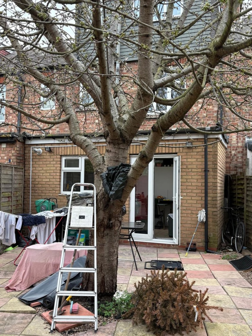 Images for Broad Lane, London EAID:3131305421 BID:11055924