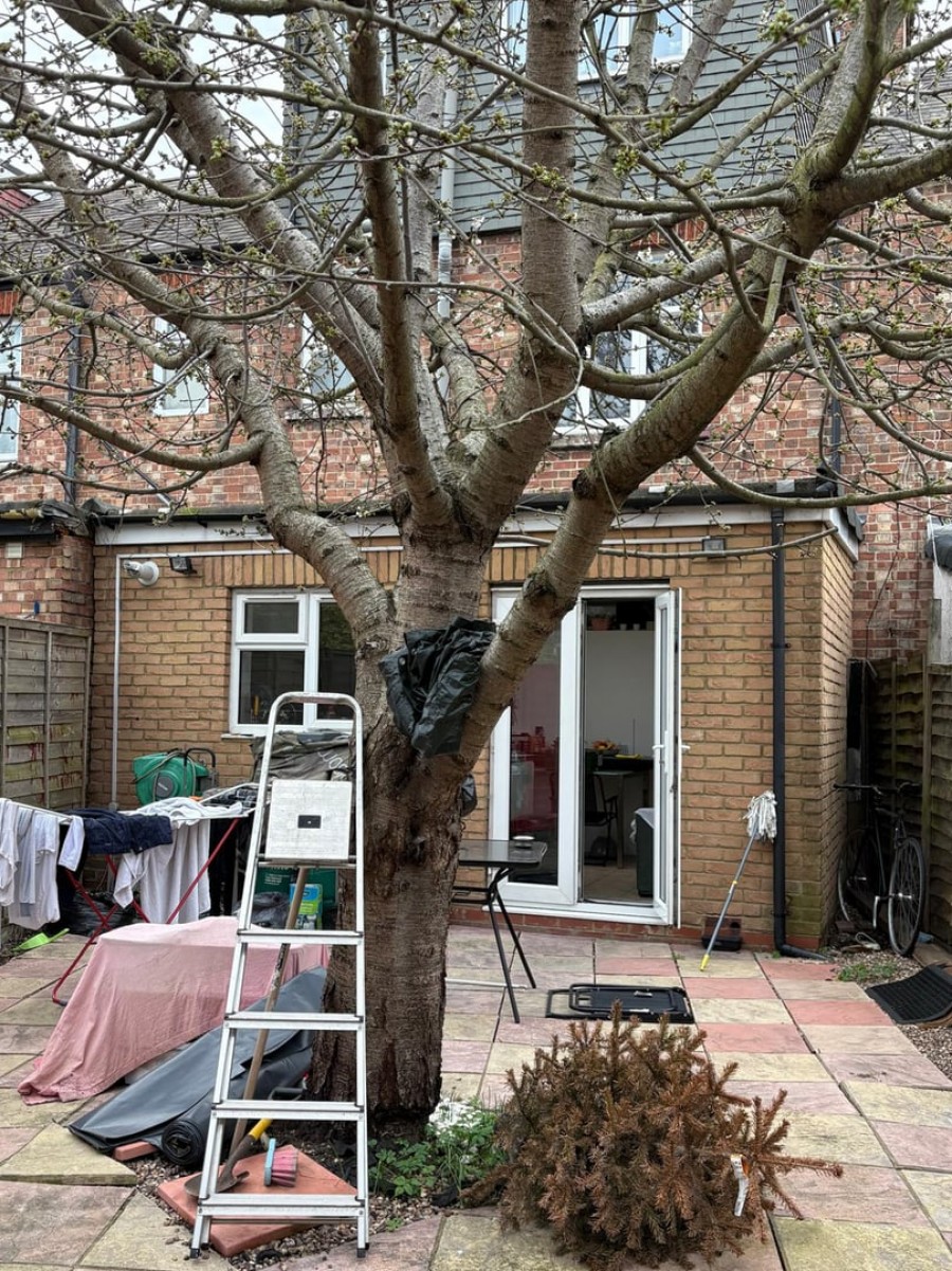 Images for Broad Lane, London EAID:3131305421 BID:11055924