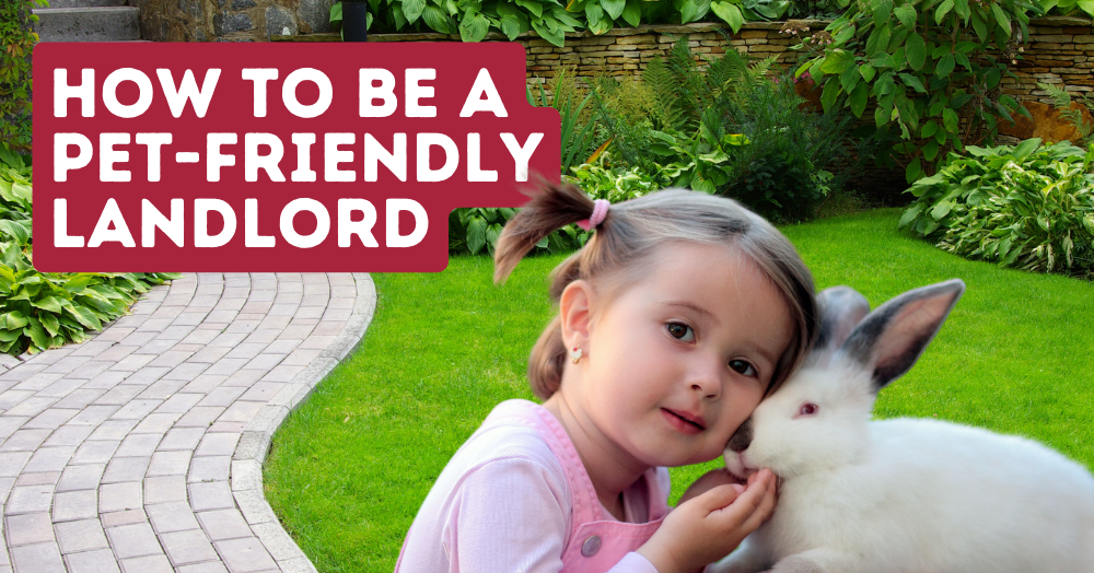 How to Make Your Cheshunt & Hertfordshire Rental Pet-Friendly