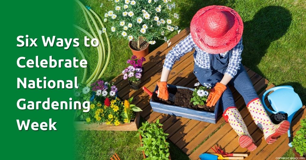 Six Ways to Celebrate National Gardening Week in Cheshunt 