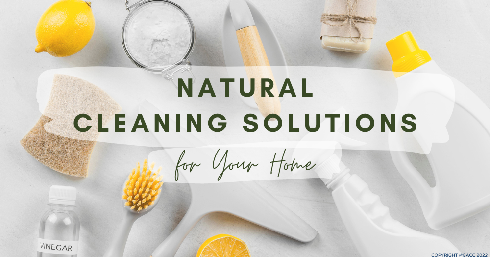 How to Clean Your Home (and Save Money) the Natural Way 